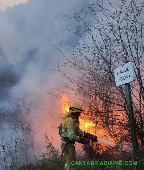 Cantabria sufre 21 nuevos incendios provocados desde ayer a las 19:00 horas
