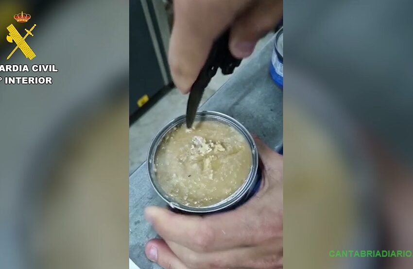 Un entramado criminal asentado en Castro Urdiales se dedicaba a estafas bancarias y a introducir cocaína en latas de atún