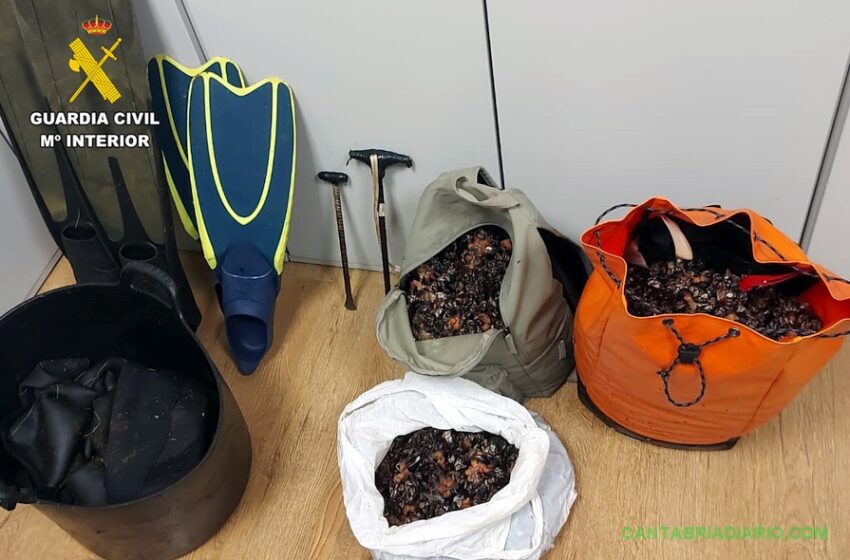 La Guardia Civil intercepta a dos furtivos con 41 kilos de percebes en Oreña