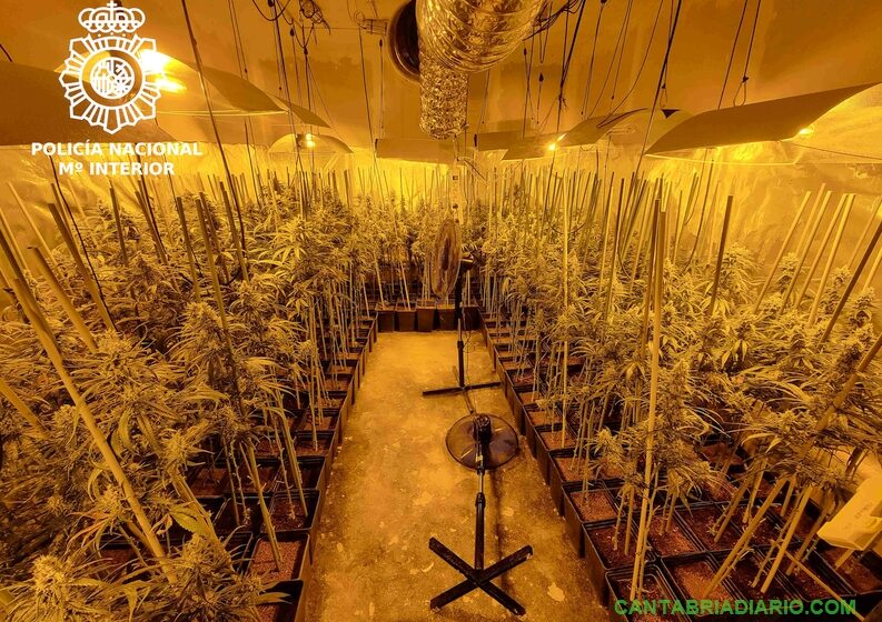 La Policía Nacional desarticula una Organización Criminal dedicada al Tráfico de Drogas y detiene a cuatro de sus integrantes