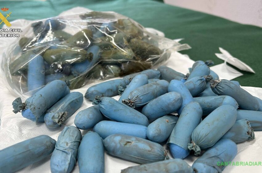 Dos detenidos por la muerte de una persona que transportaba cocaína en su estómago y fue abandonada en La Rioja