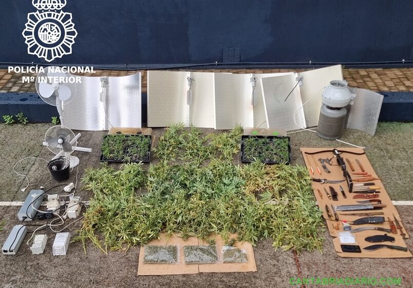  La Policía Nacional desmantela una plantación de marihuana en una céntrica vivienda de Santander