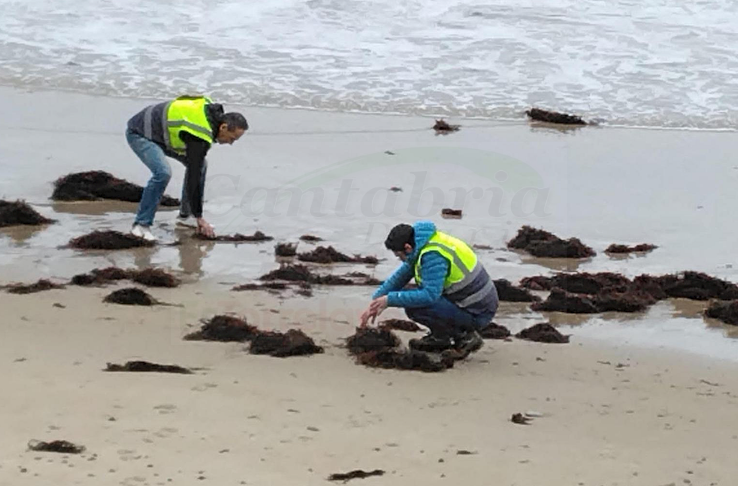 Agentes de Medio Ambiente de la Consejería inspeccionan playas para buscar pellets en Cantabria
