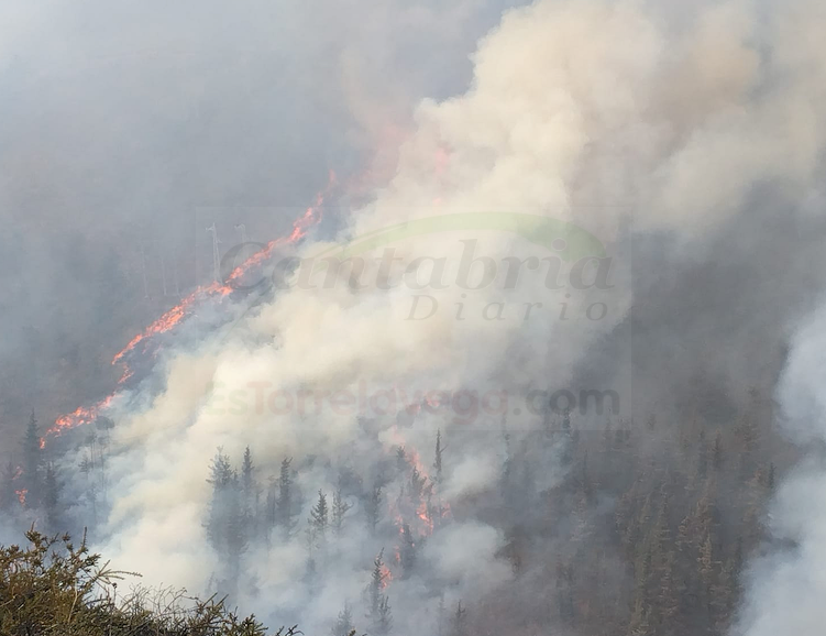 Diecisiete incendios forestales activos en Cantabria - Fotos: 112 Cantabria