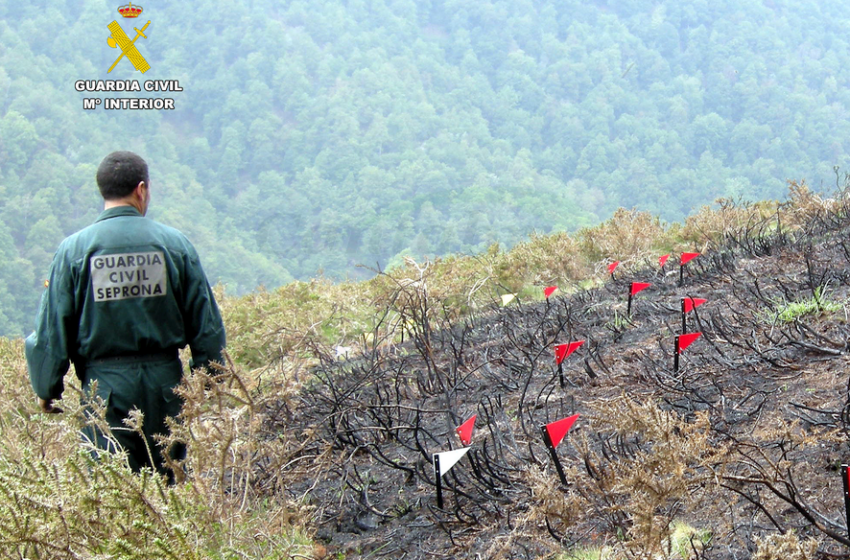 La Guardia Civil investiga al presunto autor de un incendio forestal en San Miguel de Aras