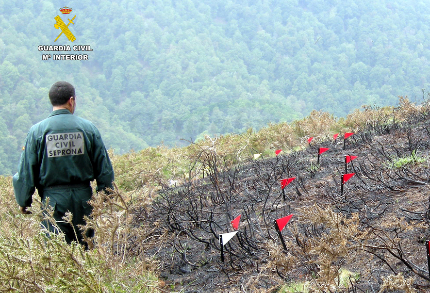 La Guardia Civil investiga al presunto autor de un incendio forestal en San Miguel de Aras