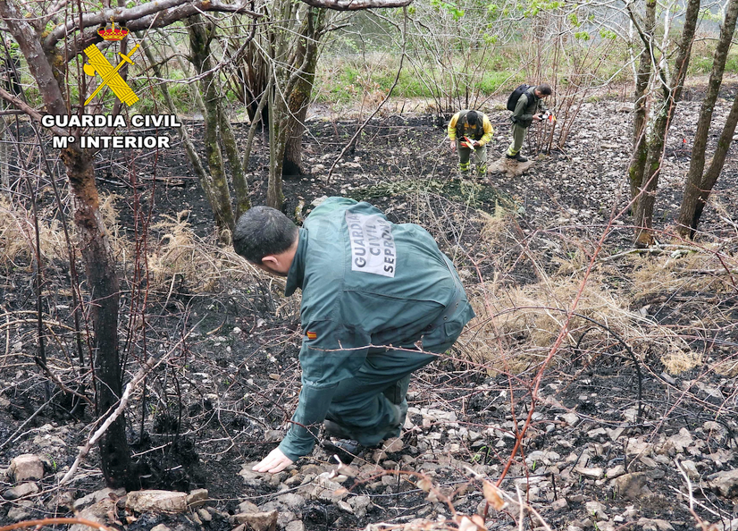 Detenido el presunto autor de un incendio forestal que afectó a 200 hectáreas de monte en Vega de Pas