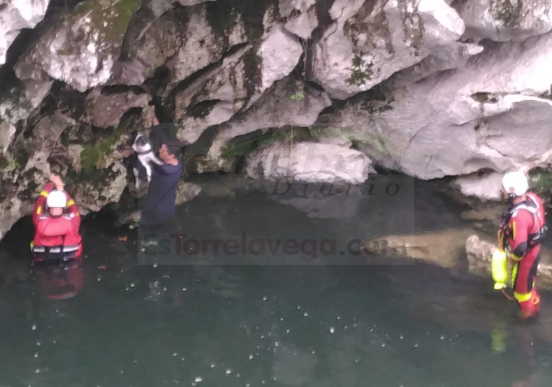 Rescatados ilesos un vecino de Andoáin y su perro que cayeron al río en Puente Viesgo