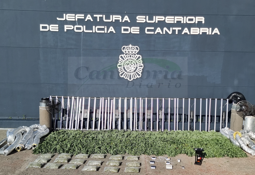 La Policía Nacional desmantela una plantación de marihuana en un piso de Nueva Montaña