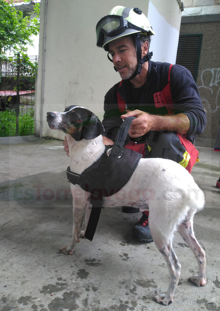 Rescatados ilesos un vecino de Andoáin y su perro que cayeron al río en Puente Viesgo