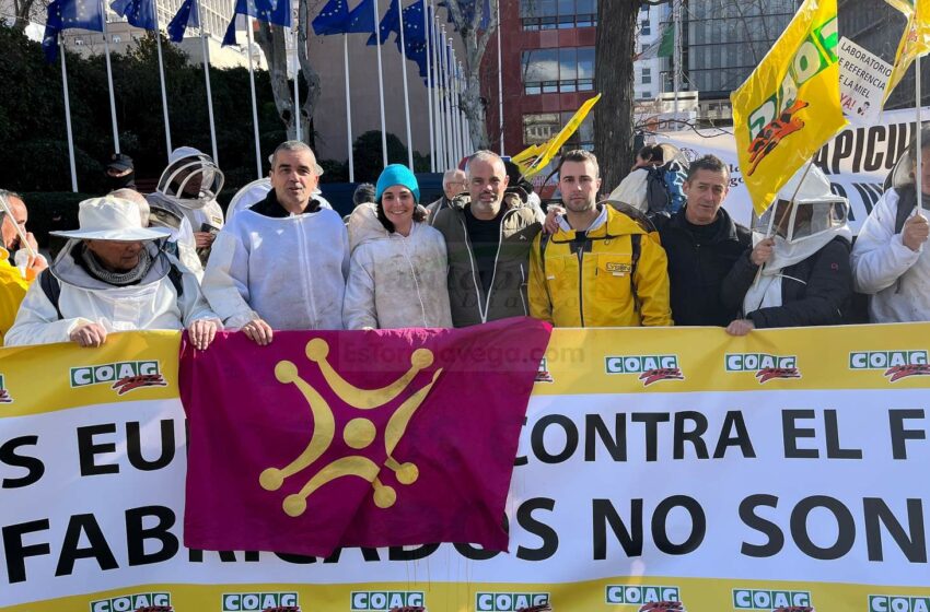 Los apicultores se manifiestan contra las importaciones masivas de ‘miel falsa’