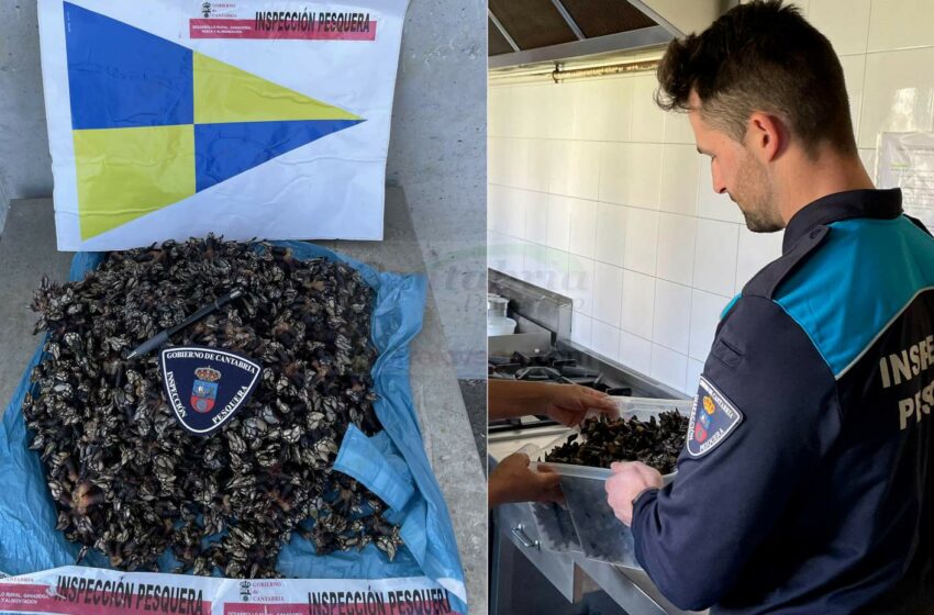  Pillado un pescador furtivo con siete kilos de percebes en Tagle