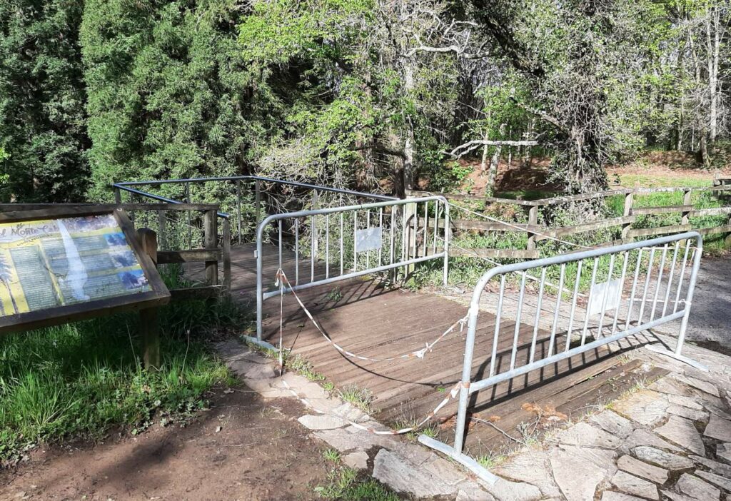 Los ecologistas alertan del deterioro del Monte de Secuoyas en Cabezón de la Sal