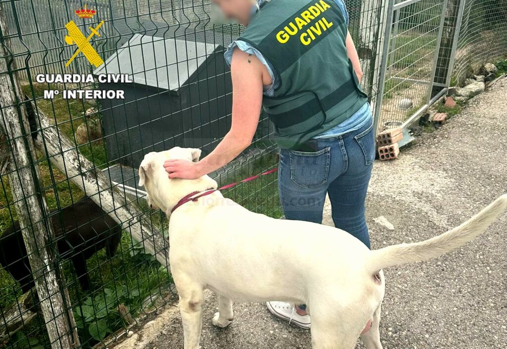 La Guardia Civil investiga a un varón que propinó varios puñetazos y una patada a un perro