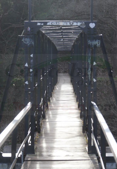  Avances en la gestión del ANEI de La Viesca