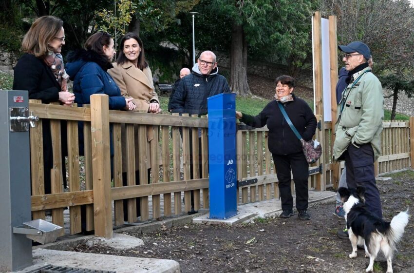  Nuevo espacio canino en el parque de Las Carolinas