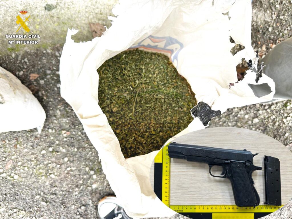 Desmantelada una plantación de marihuana en Guriezo con más de 300 plantas