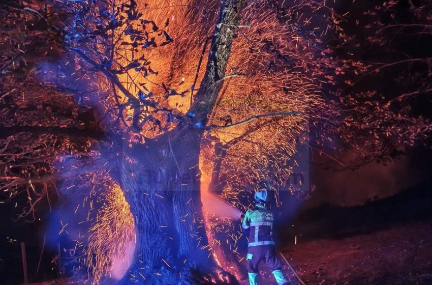 CCOO denuncia el 'colapso organizativo y la nefasta gestión' en el servicio de bomberos del Gobierno de Cantabria