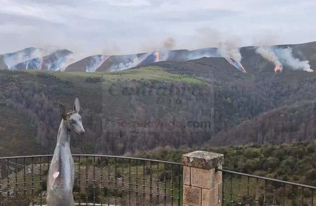 En la imagen el incendio visible desde el Mirador de la Cardosa.